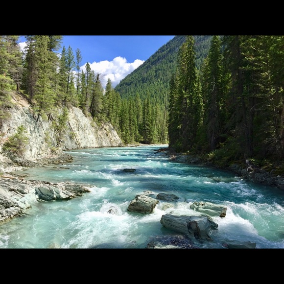 Meet your Posher, Mary - Picture 1 of 1